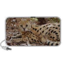 serval 025 portable speakers