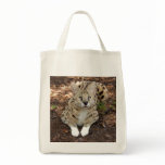 serval 028 bags