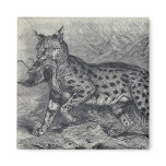 Serval Cat magnets