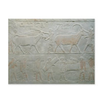 Servants driving an oryx and an antelope postcards