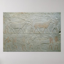 Servants driving an oryx and an antelope posters