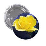 S'est levé badges