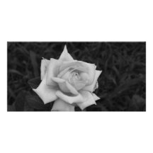 S'est levé en noir et blanc photocarte customisée