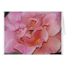 s'est levé, le rose tourbillonnant cartes