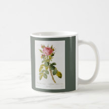S'est levée la copie botanique - "Rosa Bifera" par Mugs