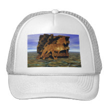 Set in Stone Mesh Hats