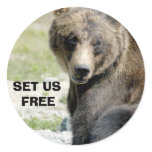 Set Us Free, Save the Bears Round Stickers