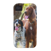 Setters iPhone 4/4S Cases