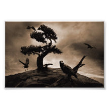 Seven Ravens Photo Art