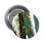 Several Thorns On A Cactus Pinback Button