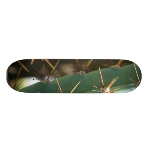 Several Thorns On A Cactus Skateboard