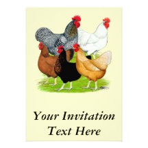 Sex-linked Chickens Quintet Custom Invitations