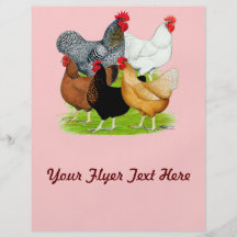 Sex-linked Chickens Quintet Flyer