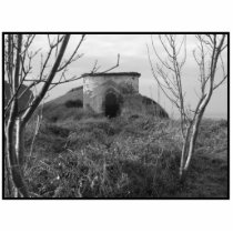 Sexton Burrow Lookout Tower. England Photo Sculpture