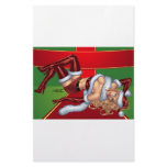Sexy Ms Claus Santa's Wife customizable by Al Rio stationery