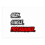 Sexy. Single. Programmer. Post Card