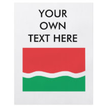 Seychelles old Flag Custom Flyer