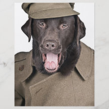 Sgt Labrador Flyers
