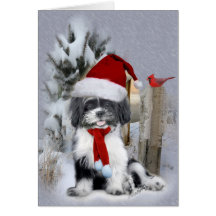 Sgug Tzu winter scene Greeting Cards