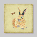 Shabby Floral Bunny Magnet magnets