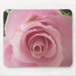 Shabby Pink Rose 2 Mouse Pads