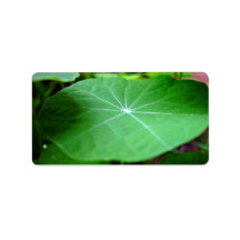 Shaddy Nasturtium leaf Custom Address Labels