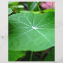 Shaddy Nasturtium leaf Flyer Design