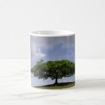 shade mugs