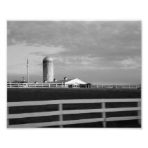 Shaded Skies 10x8 Photographic Print