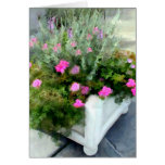 Shades of Pink in a White Planter Greeting Cards
