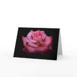 Shades of Pink Rose Card - blank