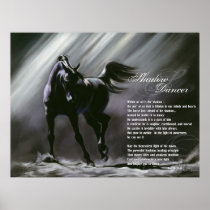 Shadow Dancer Poster