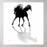 Shadow Dancer Posters