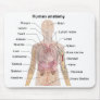 Shadow Diagram of the Human Anatomy Mouse Pads