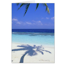 Shadow of Palm Tree Card