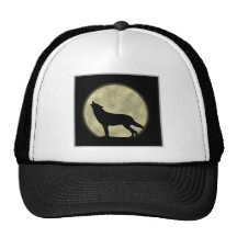 Shadow on the Moon 2 Mesh Hats