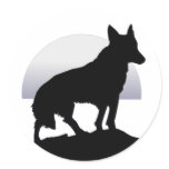 Shadow on the Moon Stickers