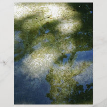 Shadows on water flyers
