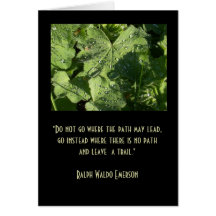 shadows, sun and dew card