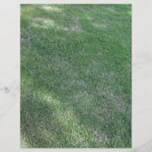 Shady green lawn for background custom flyer