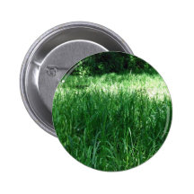 Shady Meadow on a sunny day Pins