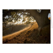 Shady Oak and California Susnet Card