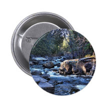 Shady Stream Pin