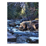 Shady Stream Postcards