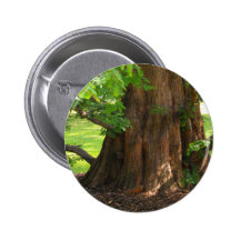 Shady Tree Pinback Buttons
