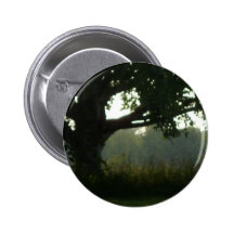 shady tree view pins