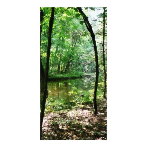 Shady Woods Photo Cards
