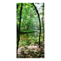 Shady Woods Photo Cards