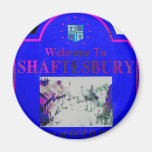 Shaftesbury Blue Pink Refrigerator Magnets