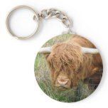 Shaggy Highland Cow Key Chain